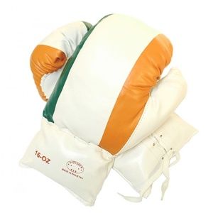 Irish Flag Boxing Gloves 16 oz Last Punch